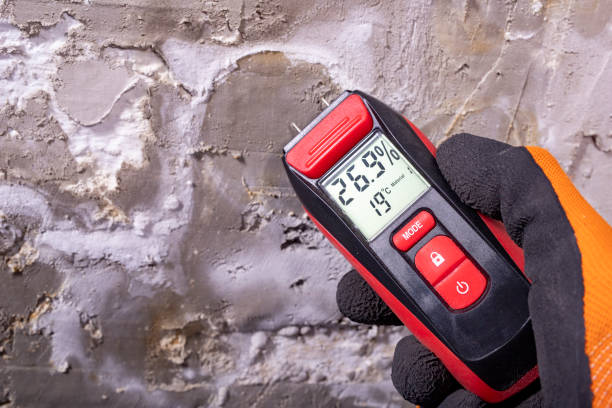 Best Mold Removal and Inspection  in Jamul, CA