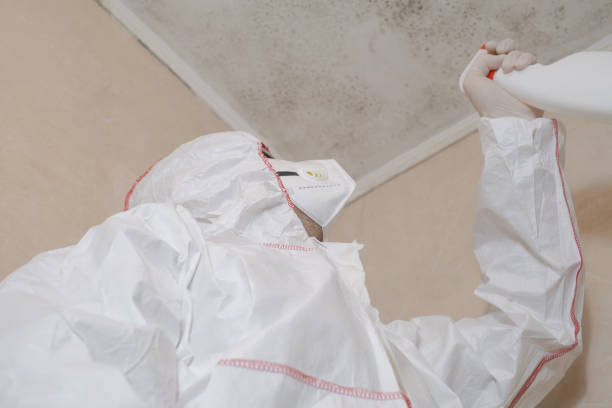 Jamul, CA Mold Removal Company